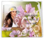 Libro Elix unico ricciolo