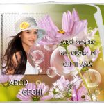 Libro Elix unico ricciolo