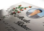 Fotolapide 3D